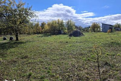 Casă cu 5 camere cu Teren 7017 Mp în Drajna - 17