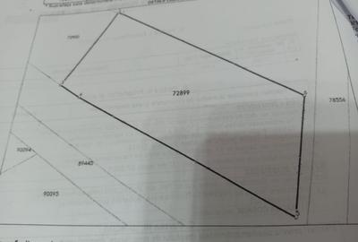 Teren de 1000 mp, în Priseaca - 1