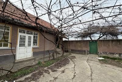 Casă cu 4 camere cu Teren 3767 Mp în Borș - 3
