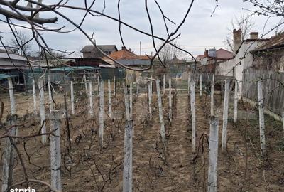 Teren de 400 mp, în Lascăr Catargiu - 1