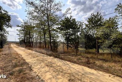 Teren de 29600 mp, în Șimnicu de Sus - 11