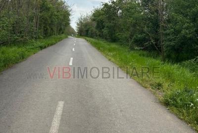 Dragomiresti Deal - Strada Pinului - 4