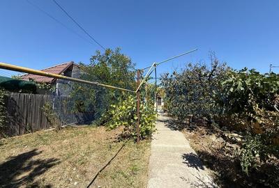 Brestei-strada principala-casa veche-teren 800mp-investit... - 14