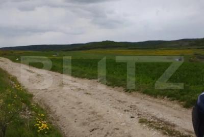 Teren de 3621 mp, în Petrești - 3