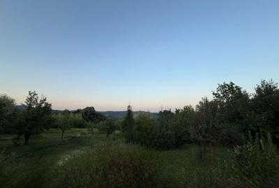 Spațiu comercial, în Central - 3