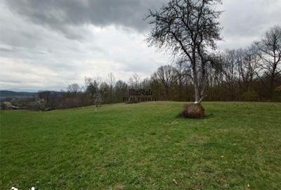 Teren de 9370 mp, în Baia de Criș - 7