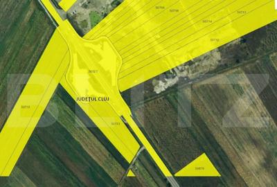 Teren de 87000 mp, în Central