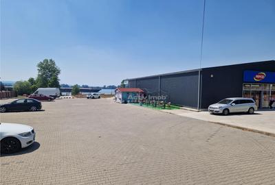 Moldova Noua, Teren Drept Intravilan 1628 Mp., pe malul Duna - 11