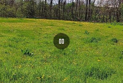 Casă cu 4 camere în Boureni - 3