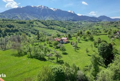 Spațiu comercial, în Bran - 7