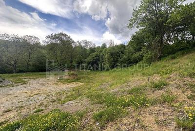 Teren de 3054 mp, în Bran