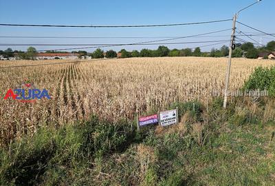 Teren Construcții intravilan de 7976 mp, în Crângurile - 2