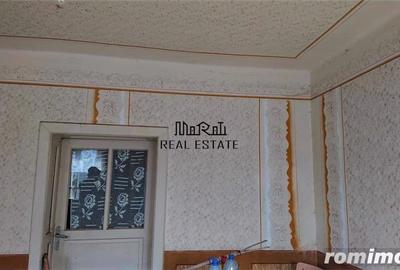 Teren de 69237 mp, în Criș - 2