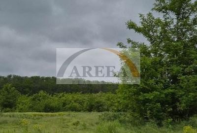 De vanzare - TEREN construcții 700 mp - lizieră - Siliștea Snagovului - 2