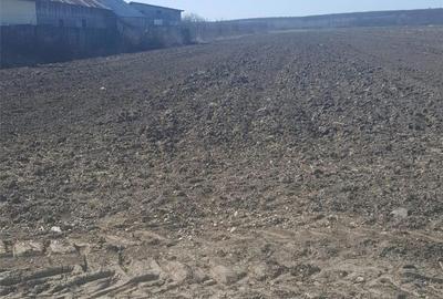 Teren de 7444 mp, în Dărmănești - 6