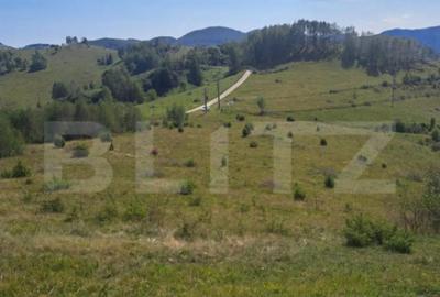 Teren de 4604 mp, în Central - 3