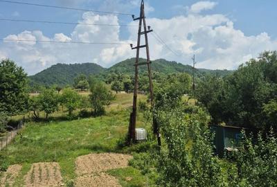 Str. Corbului, casa P+1, 30 ari teren - 8