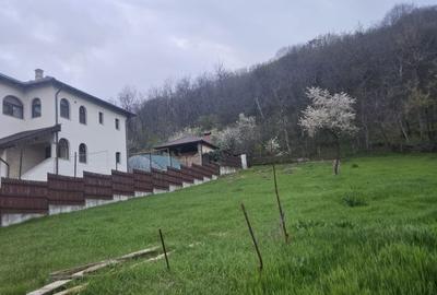 Teren de 580 mp, în Troianu - 3