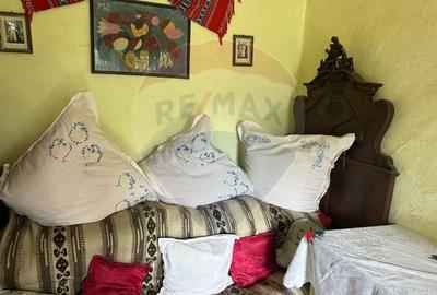 Teren intravilan 4.779 mp + casa si anexe - Girov, Neamt - 6