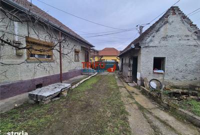 Casă cu 5 camere cu Teren 1651 Mp în Bărăbanț - 7