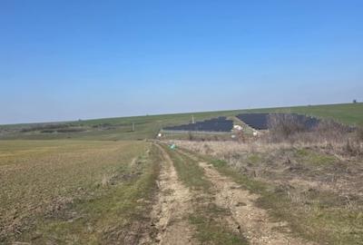 Teren Construcții intravilan de 4750 mp, în Exterior Nord - 2