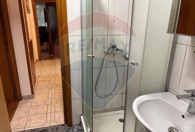 4 camere de vanzare TEIUL DOAMNEI zona verde-linistita, bloc anvelopat - 11