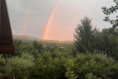 Casă cu 3 camere cu Teren 2500 Mp în Pruni - 8