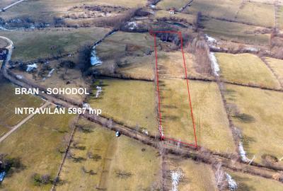 Teren Construcții intravilan de 5967 mp, în Bran - 5