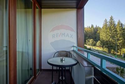 CONFORT, LUMINA SI PRIVELISTI DE POVESTE | APARTAMENT POIANA BRASOV - 9