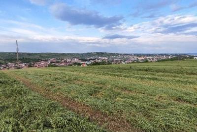 Spațiu comercial, în Central - 7