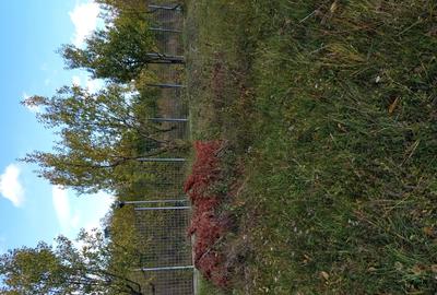 Propriet pe deal - 1