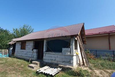 Casa Batraneasca Urechesti - 2