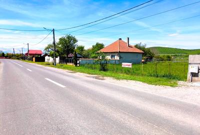 Teren intravilan de 5000 mp, în Hărman - 1