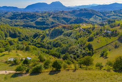 Teren extravilan 6,014mp | Holbav | BRASOV | COMISION 0| - 2