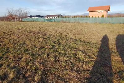 INVESTITIE ! Sacalaseni intravilan - 1