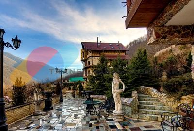 Complex  Printesa din Carpati  - Oportunitate de Investitie Unica pe Valea Aries Complex  Printesa din Carpati  - Oportunitate de Investitie Unica pe Valea Aries - 6