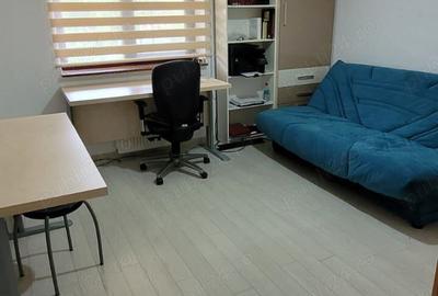 Vand vila Sf Ilie , Scheia Suceava - 4