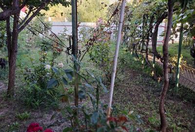 Casă în Central - 4