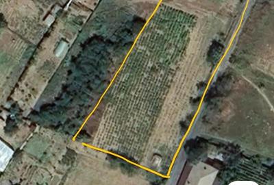 Teren de 1286 mp, în Somova - 1