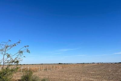 NOU! TEREN INTRAVILAN | LA LIMITA CU SEC 4 | OPORTUNITATI | JILAVA - 1