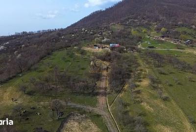 Teren de 10000 mp, în Central - 5