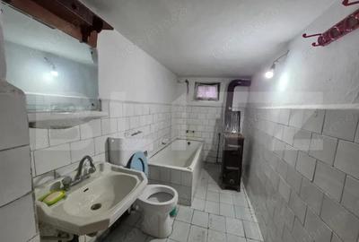 Casa cu teren generos ?i balta de pescuit Gae?ti - 3