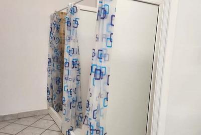 Inchiriere. Cazare muncitori in Sibiu, str. Morilor -Zona Pia?a Cibin. - 2