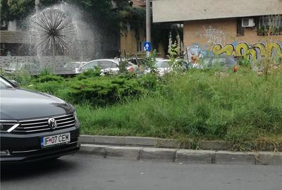 Casă cu 4 camere cu Teren 185 Mp în P-ța Victoriei - 8
