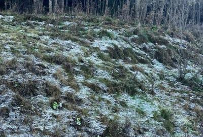 Teren intravilan, 20000 mp, zona Manastirea Humorului - 3