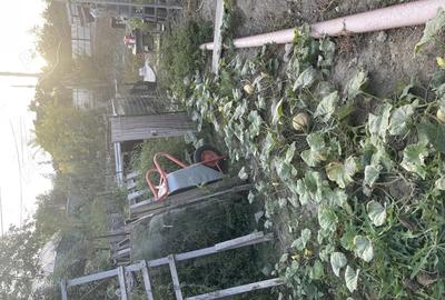 Casa + teren 610 mp Tulcea, Str. Orizontului utilita?i complete - 6