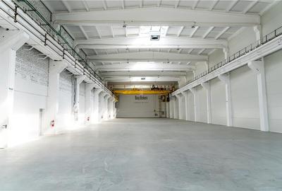 Spatiu Industrial - 1477 mp - Productie - Depozitare - Distributie