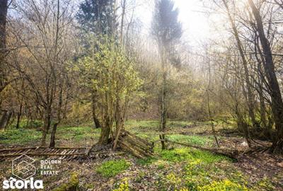 Casă cu 3 camere decomandat cu Teren 1944 Mp în Vârfurile - 1