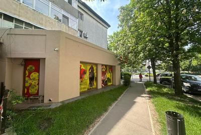 Spatiu comercial, str Bucegi -STRADAL-VAD COMERCIAL,103 mp - 4