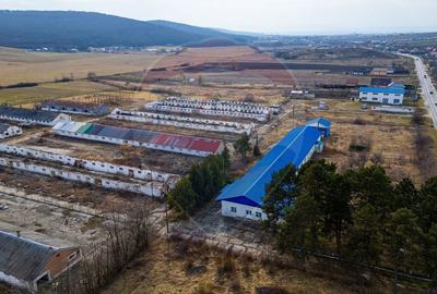 Spațiu industrial, de 800 mp, în Traian - 11